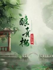 酿青梅曲瓷陆沈白