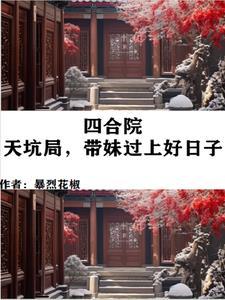 四合院天坑局