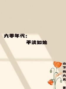 六零年代清平记无防盗