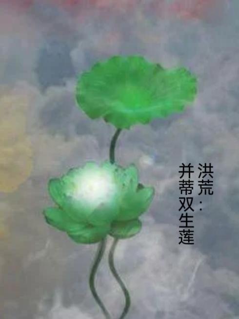 洪荒之并蒂莲花