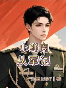 小兵从军记