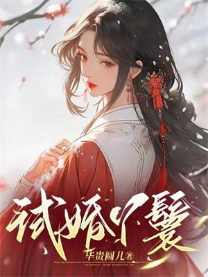 试婚丫鬟沈无妄