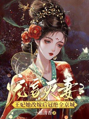 宠妾灭妻?王妃她改嫁后冠绝全京城 一袖清香