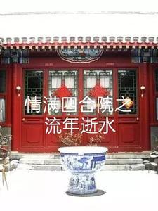 情满四合院46集