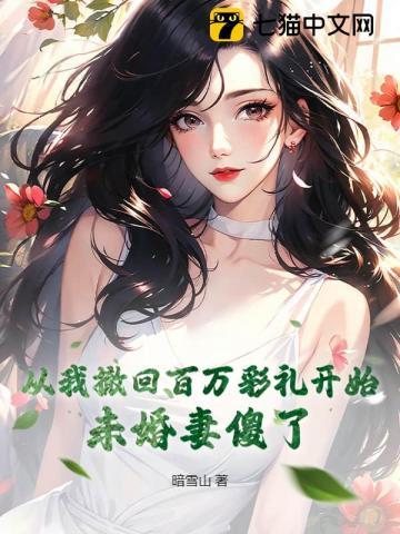 未婚妻傻了 暗雪山