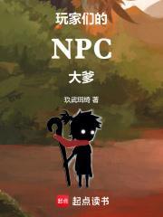 什么是npc玩家