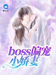 boss独宠小甜妻离婚n加1