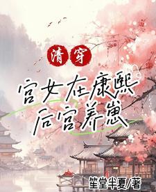 清穿空间异能康熙后宫