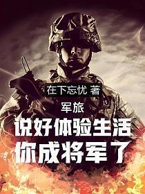 你成将军了  免费