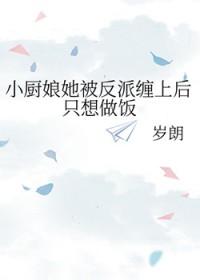 小厨娘会武功免费阅读