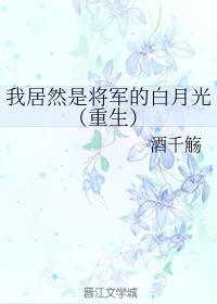 我是将军你是姬